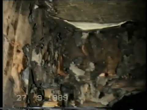 'Til Tuesday - Long Gone Buddy (Fanmade Video) (1988)