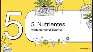 Hidroponía RESUMEN DE MANUAL BASICO