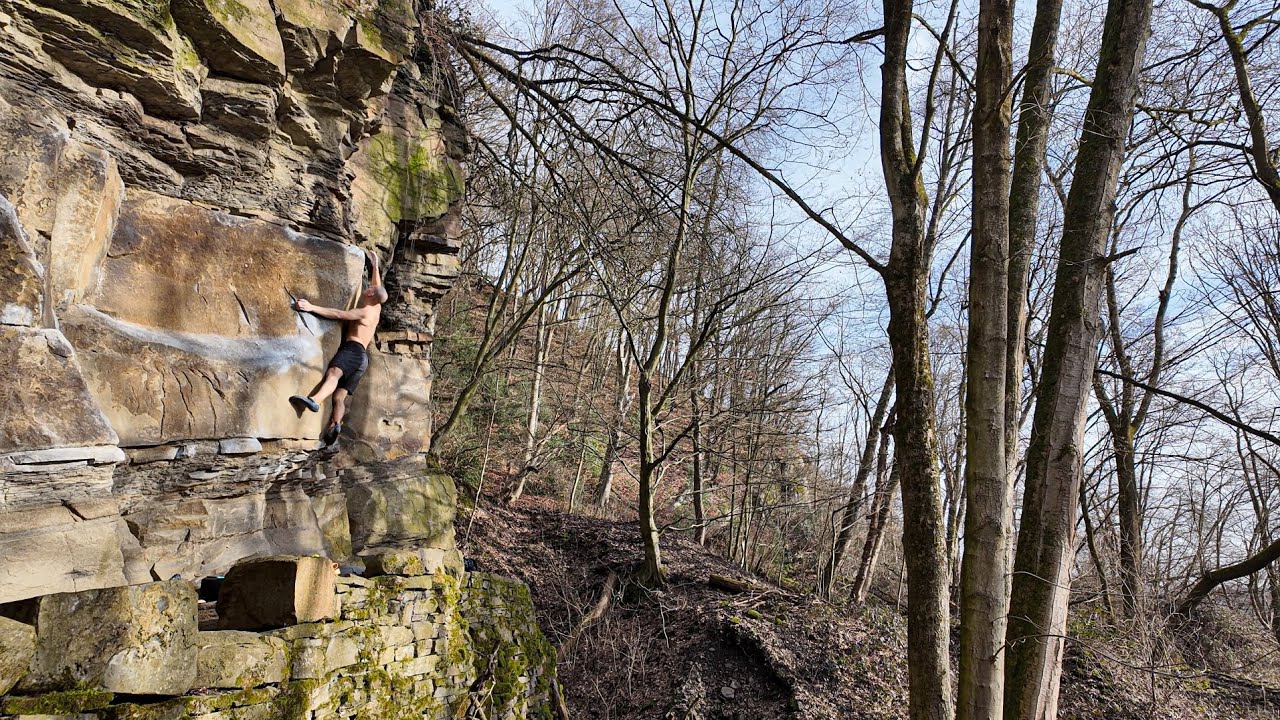 The Big Five in a day | Avalonia