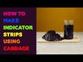 Understanding the Video Tutorial