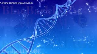 Dna Strand Genome Image 6 A4A Merged