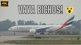 🛬NO TE PIERDAS estos aterrizajes! Emirates y Qatar Airways en Barcelona | Spotting Session #003 ✅