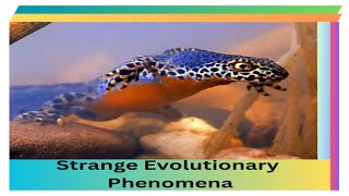 6 Strange Evolutionary Phenomena | History | TE | Untold Story!!