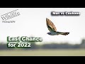 Man vs Cuckoo 2022 Pt 2 | UK Wildlife and Nature Photography | Canon R5