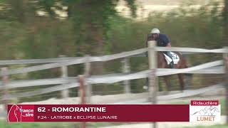 Lot 62 ROMORANTINE