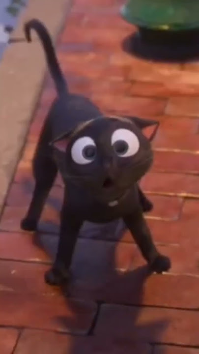 Cutest Scottish Cat Ever!!!😍 (Luck Clip)