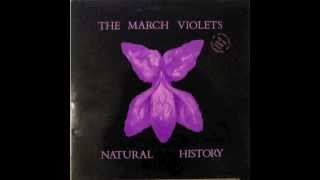 The March Violets - Snake Dance chords