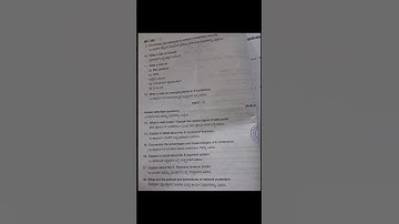 E-businees|3rd sem Bcom|2024 and 2023 question paper.