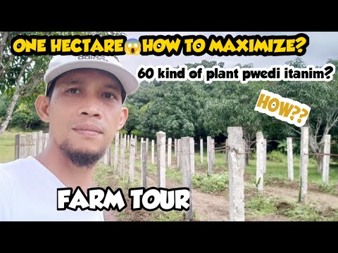 Video: Garden Swales - Mga Tip Para sa Paggawa ng Swale Sa Iyong Hardin