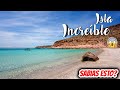 ISLA ESPIRITU SANTO 1 paraíso Baja California Sur INCREIBLE 😱 ✅ Como ir? Costos Tips 🔴 1 Playa WOW 🤩