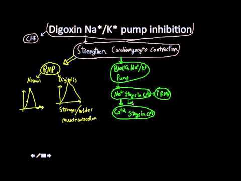 Video: Digitalis - Useful Properties, Digitalis Preparations