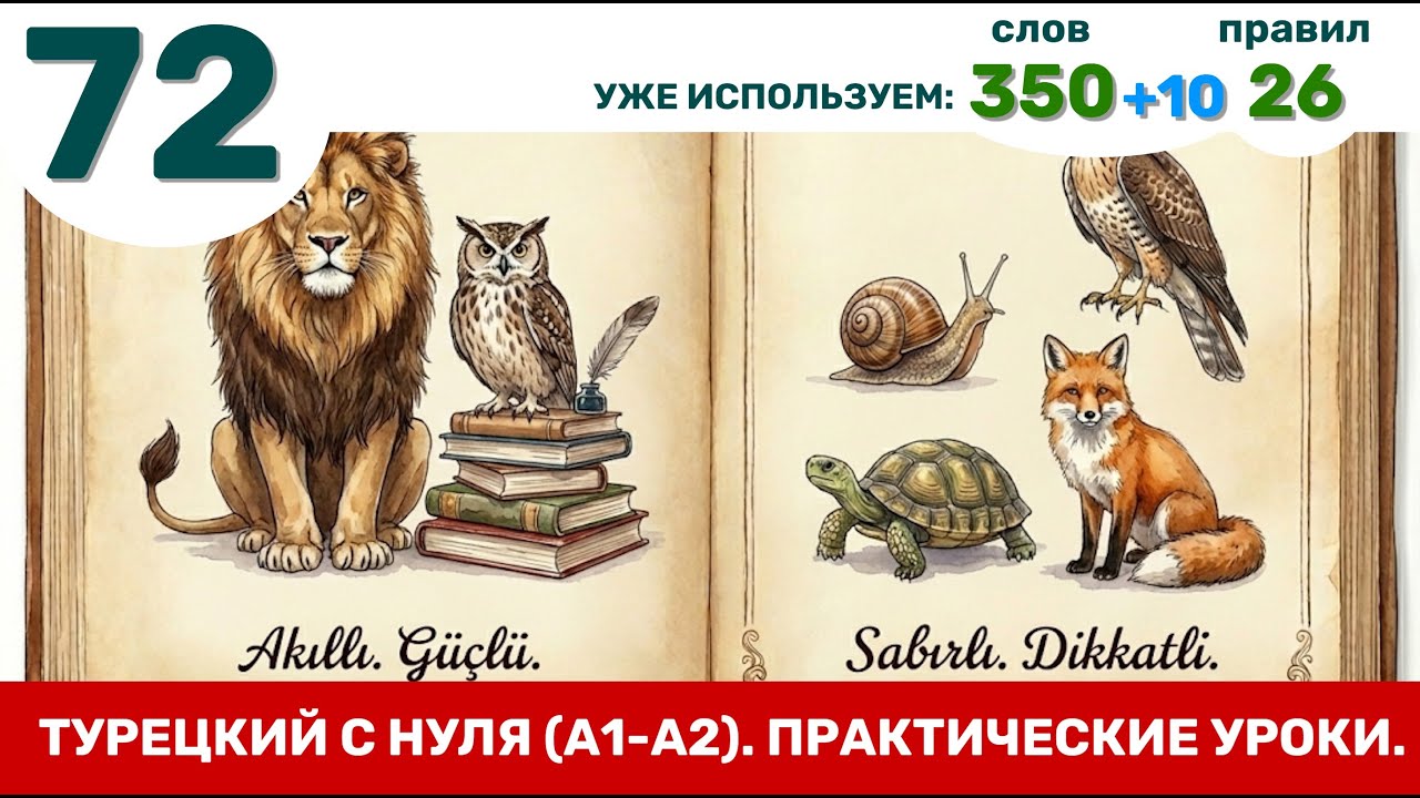 Сила, ум, терпение и внимание | Турецкий язык через практику #72