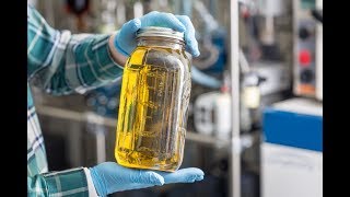 How It's Made: Cannabis Distillate Oil screenshot 1