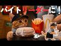 ●ックの猫店員に密着! | うれしいプレゼントに感動🎁