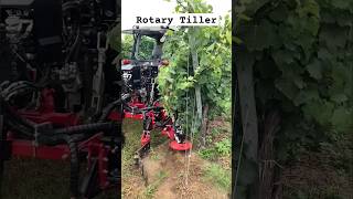 Rotary Tiller For Inrow Weeding & Cultivation || Made By Id David France || #Shorts