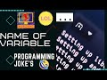 Name Of Veriables Programming Jokes 