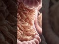 4 Surprising Reasons Your Stomach is GROWLING Like CRAZY