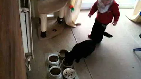 Carmen the Willis chaser!