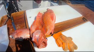 Cleaning Fish on the Boat. The FASTEST guys