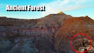 I Found a Lost World Using Google Earth