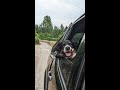 Puppy Dog Head out of Car Window