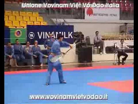 Video Nhat Nguyet Dai Dao Phap Vietnam - World Vovinam... - youtube