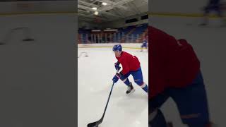 Sterling wolters D-man, training clips