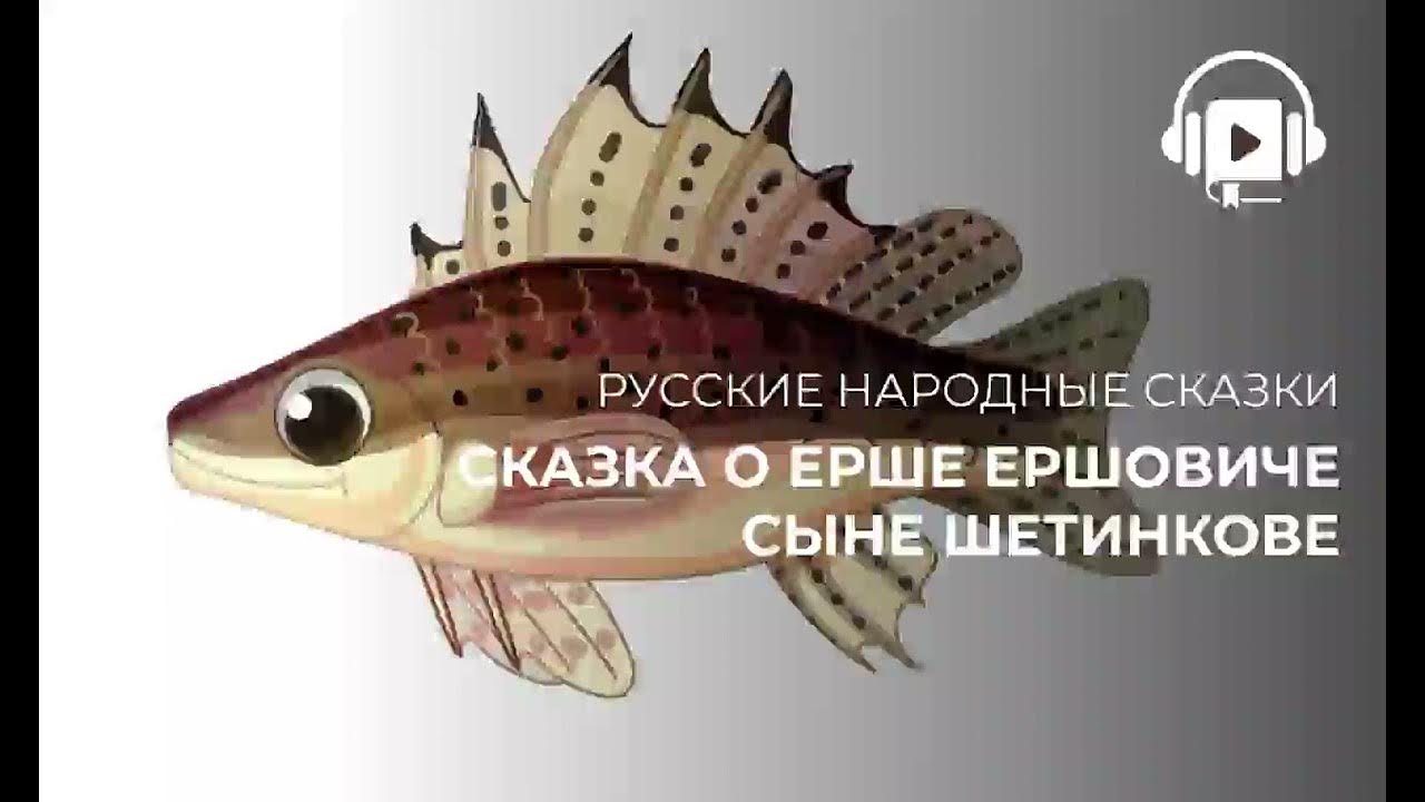 Сказка ерш. Сказка о ерше ершовиче. повесть о ерше ершовиче картинки. о ерше ершовиче. картинки к сказке про ерша ершовича.