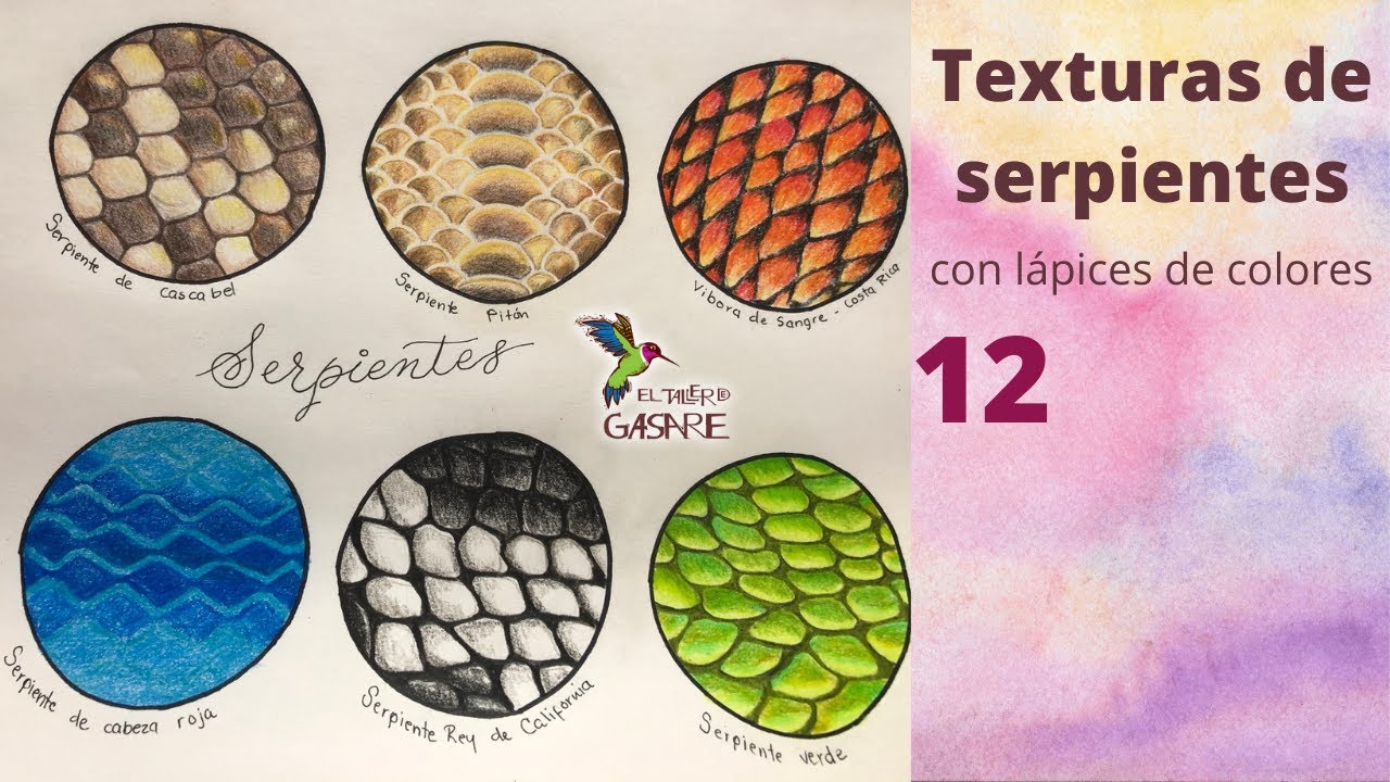 Como dibujar texturas de serpientes con lápices de colores