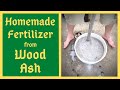 From the ashes comes life again  homemade fertilizer  potassium  calcium  magnesium  wood ashes