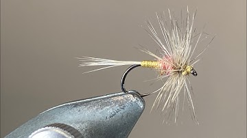 Tying The Tup’s Indispensable