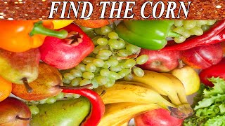 Can You Find The Hidden Objects | 99% Fail | New Game | Brain Teaser | Mind Booster