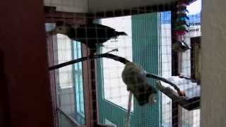 Living Coast Discovery Center