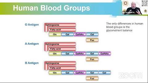 Dr. Stephen Nugent on "An Introduction to Glycans - The Foundation of All Biological Functions"