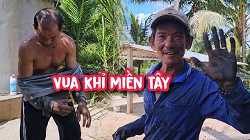 Vua Khỉ cưa hạ gốc hàng chục cây Dừa khó ở Bến Tre cùng Đệ T.ử (1/2)...