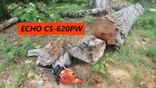 A Great Chainsaw - Echo CS-620 PW