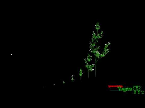 Igor Game Engine : Example L-System