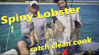 видео: Caribbean Spiny Lobster: Catch Clean Cook | Флоридский лобстер: как поймать и приготовить картинка: Caribbean Spiny Lobster: Catch Clean Cook | Флоридский лобстер: как поймать и приготовить