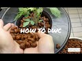 How To Make A DWC Hydroponic System | Step by Step Guide | Growing Tomatoes and Cucumbers Indoors