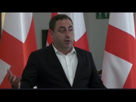 ჩვენმა მორალურად სწორმა პოზიაციამ შედეგი გამოიღო, „ქართულმა ოცნებამ“ უკან დაიხია - ვაშაძე