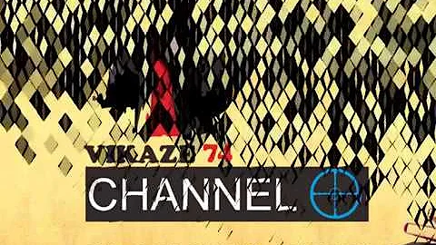 THE MARINE ACCIDENT INVESTIGATOR