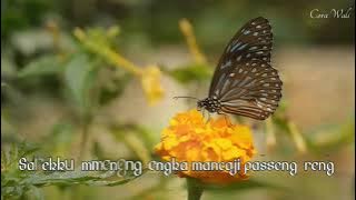 Puisi Bugis Pallawa Uddani