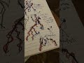 Do you like my doodles