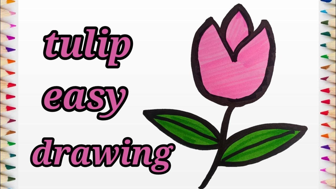 how to draw a tulip flower/ easy drawing, colouring and painting for ...