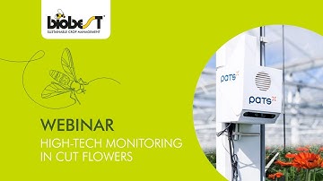 Webinar - Benefits of high-tech monitoring in cut flowers by Biobest