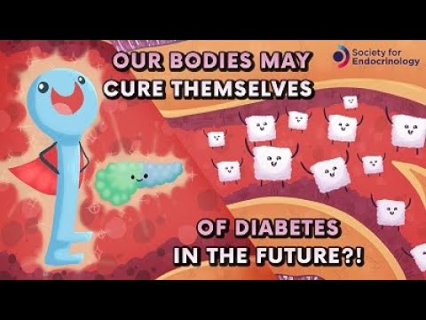 Video: Är Gymnema Framtiden För Diabetesbehandling?