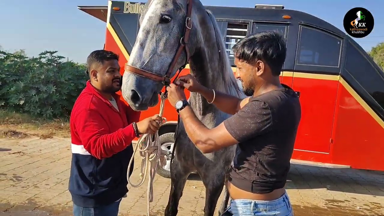 Shukla stud farm mehsana 