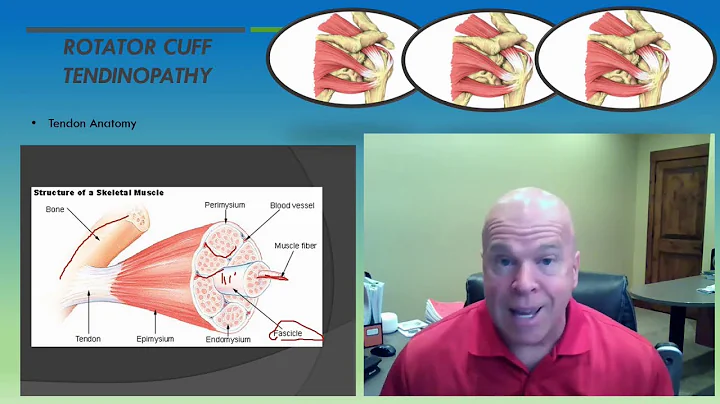 QME Clinical Rounds RotatorCuff Tendinopathy2Perry J. Carpenter DC QME www.ezcontinuingeducation.org