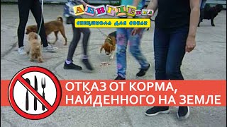 Отказ от корма, найденного на земле