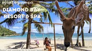 Отель с Оленями. Diamond Bay Condotel Resort Nha Trang. Обзор отеля. Пляж Ан-Вьен Nhu Tien Beach